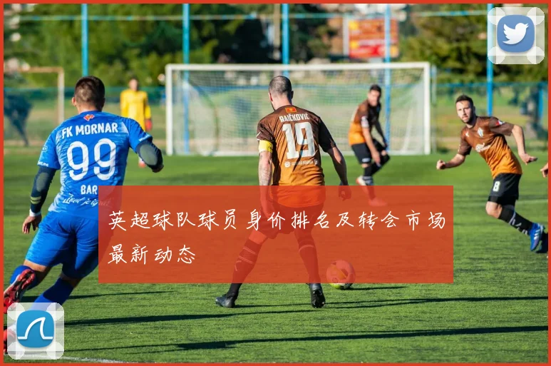 英超球队球员身价排名及转会市场最新动态