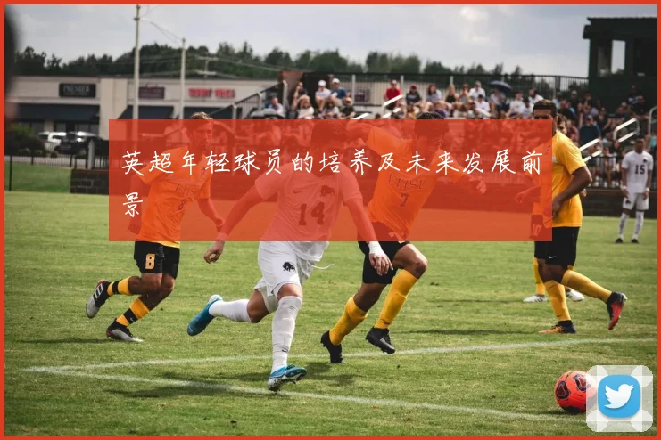 英超年轻球员的培养及未来发展前景