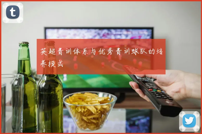 英超青训体系与优秀青训球队的培养模式